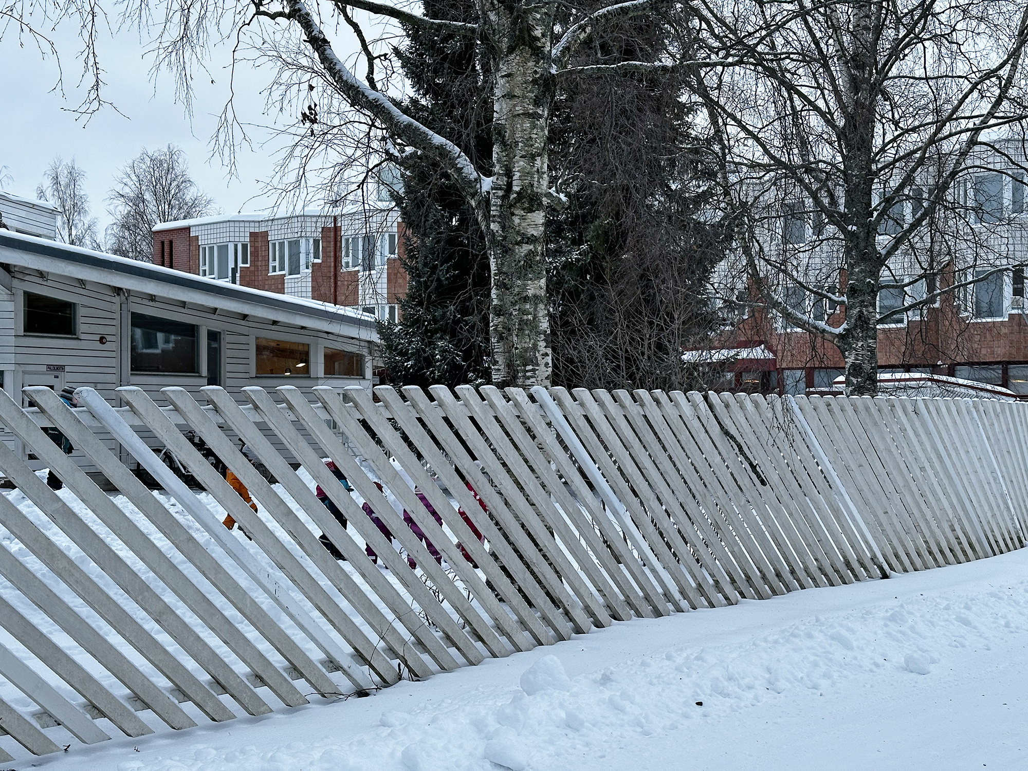 Himmeli ja Taikurinhattu