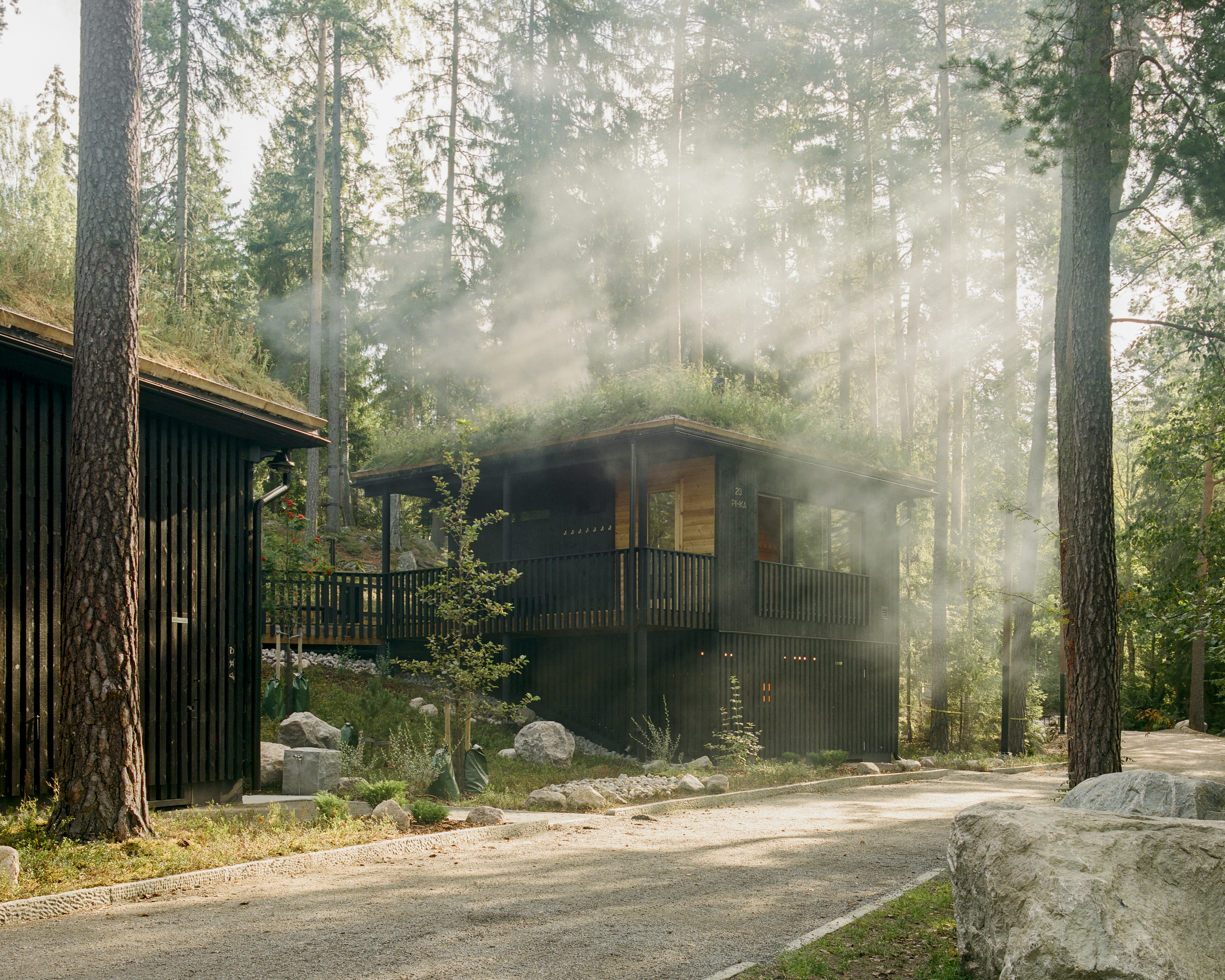 Kaksi viherkattoista tumman puista rakennusta metsän keskellä.