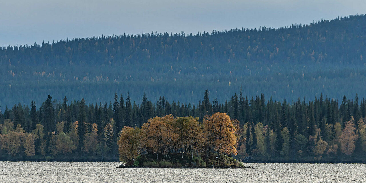 Näkymä järvelle, jossa on pieni saari, joka on täynnä puita. Horisontissa näkyy vasta ranta, jota reunustava metsä nousee harjuksi. Iltahämärä luo kuvaan kauniin sinisen hetken.