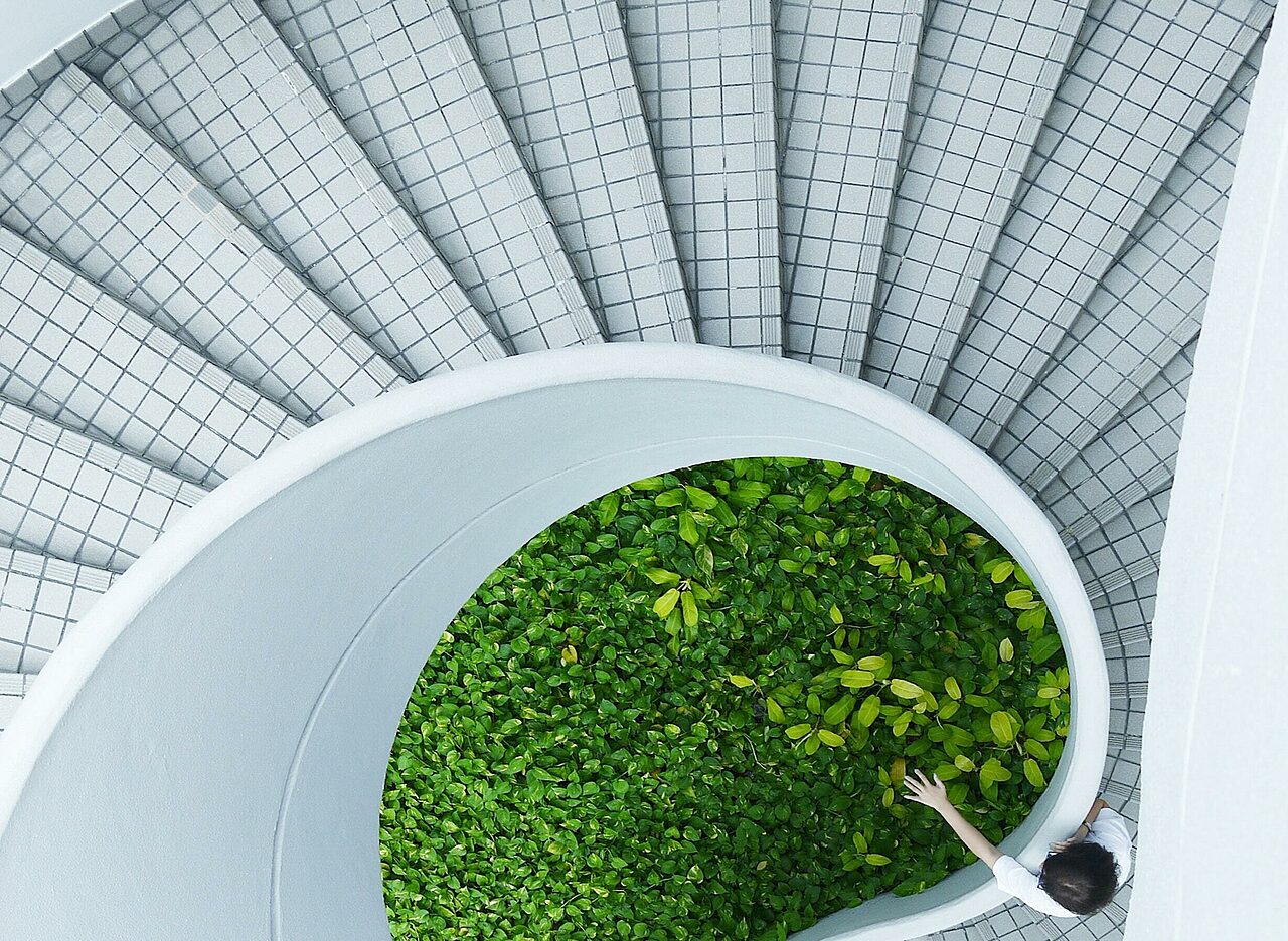 Vaalea kierreportaikko ylhäältä päin kuvattuna, keskellä kasvillisuutta.