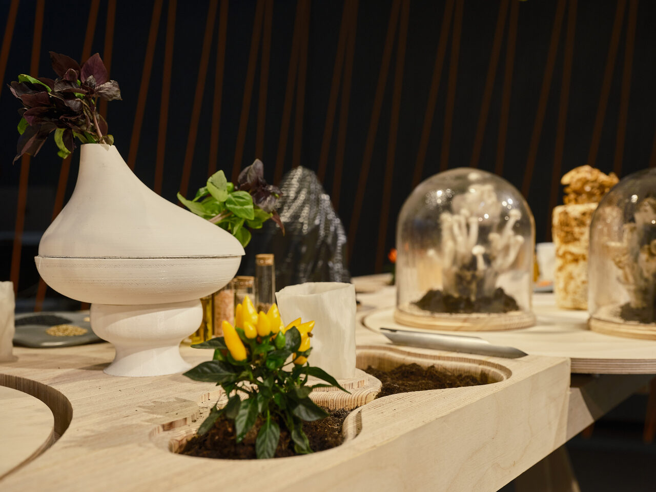 Näyttelypöytä, josta kasvaa erilaisia kasveja.