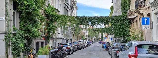 Kapea katu, talojen seinillä ja kadun yli kasvaa köynnöksiä