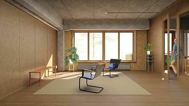 Huone, jossa tuoleja ja kasveja.