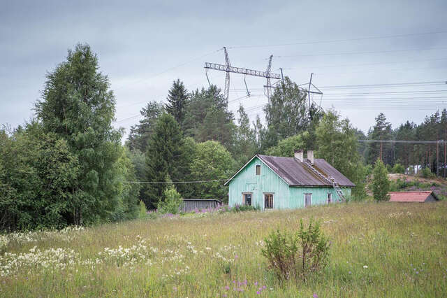 Sami Funke Beethovenin Hevonen kuva