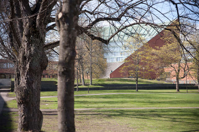 Green campus area. The brick building can be seen in the background