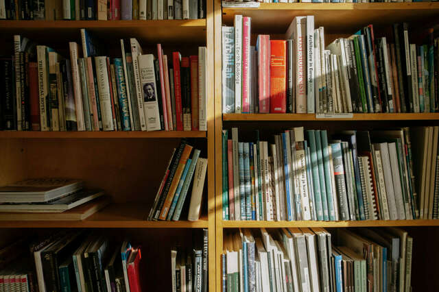 Kirjahylly täynnä erilaisia kirjoja.