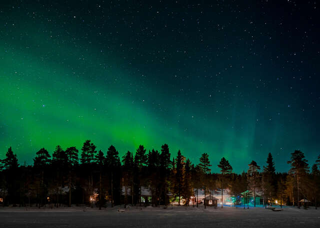Northern lights flaming above a forest