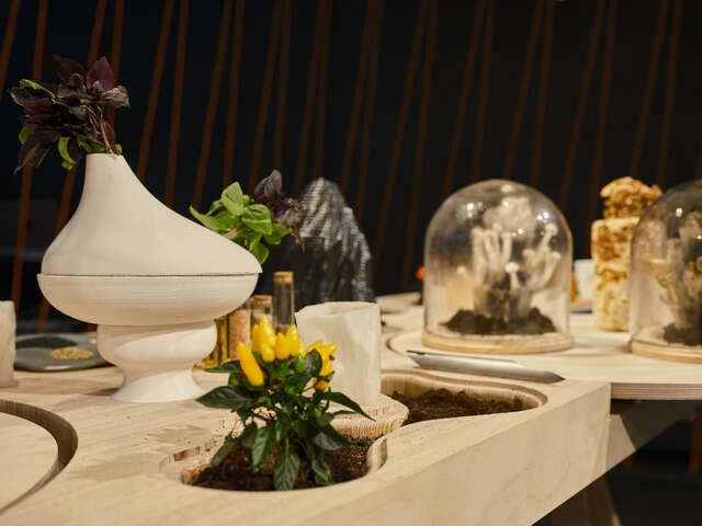 A display table with a variety of plants growing on it.