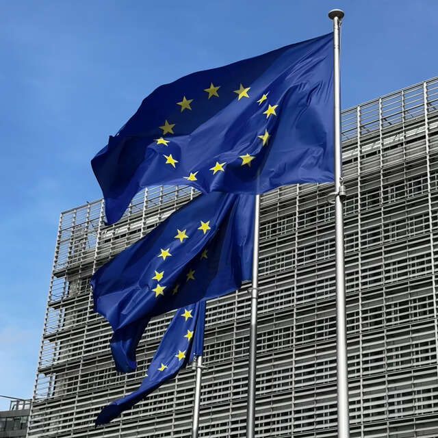 Lähikuva liehuvista EU-lipuista rakennuksen edustalla.