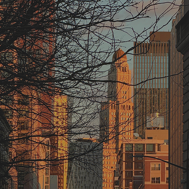 Open Callbanneremma termonen