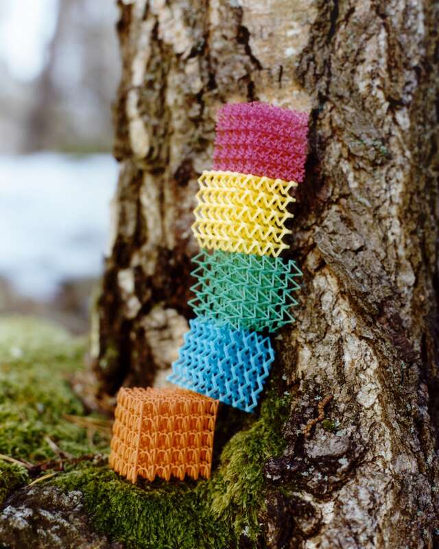 Five colourful 3D printed cubes leaning on a tree
