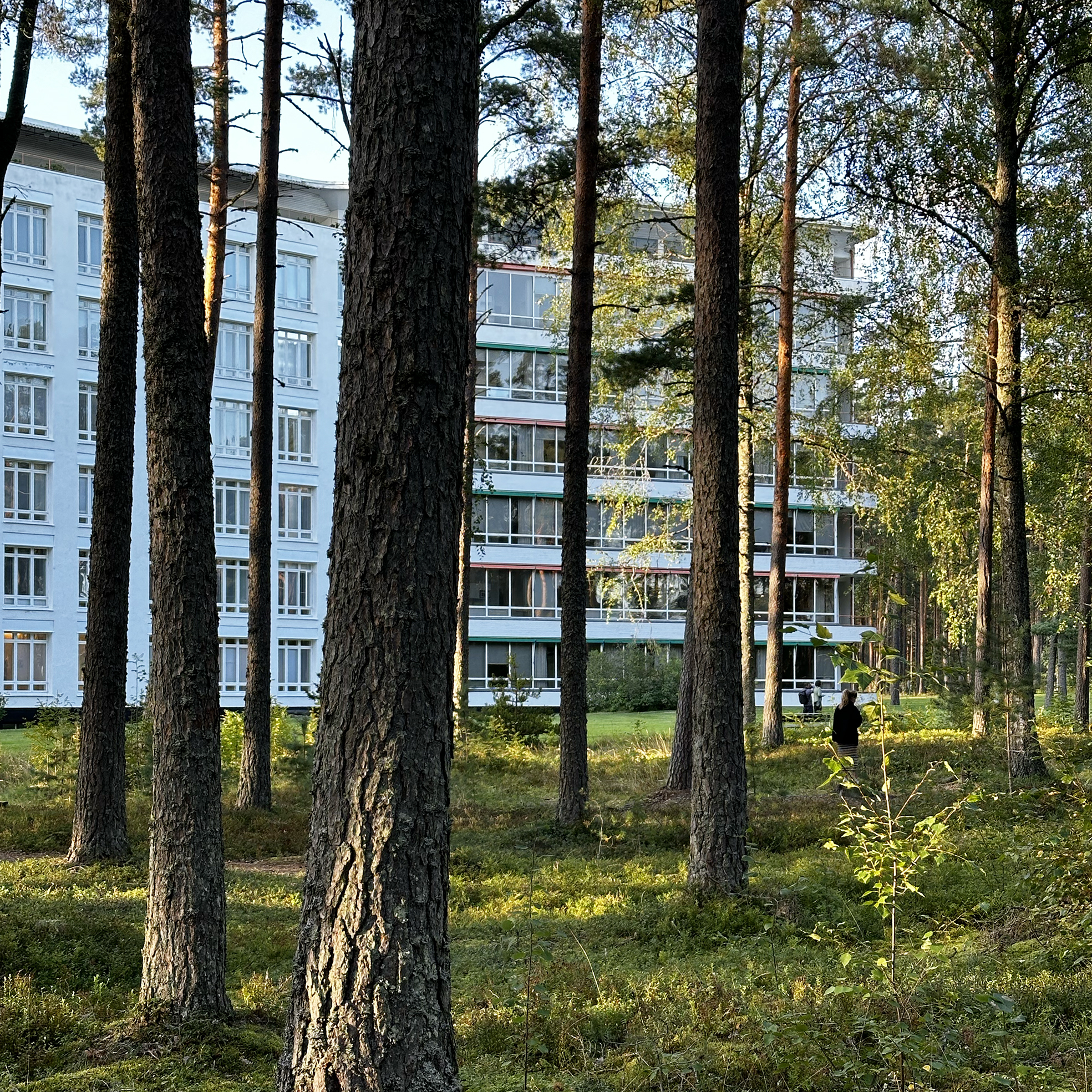 Avara mäntykangasmetsä, jonka taustalla valkoinen suuri rakennus.