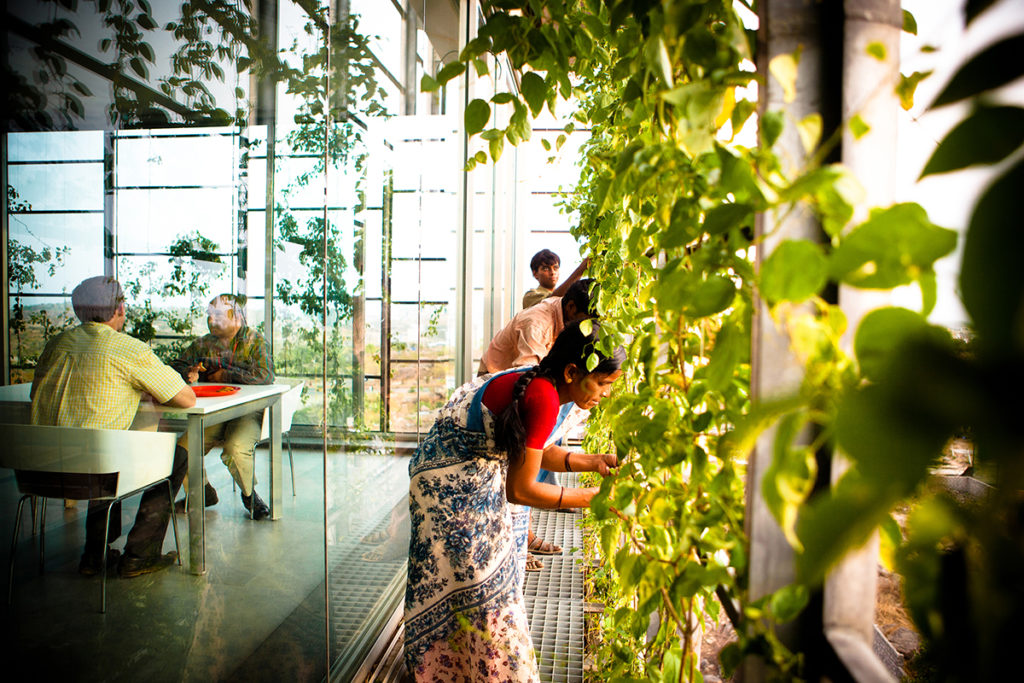 RMA Architects, KMC Corporate Office, Hyderabad, India 2012. Photo by Carlos Chen.