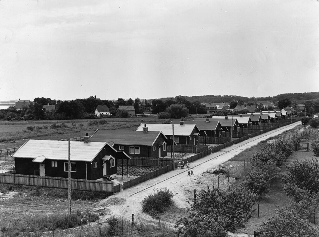 A black and white photo of a street with Puutalo Oy's detached houses on adjacent fenced plots.