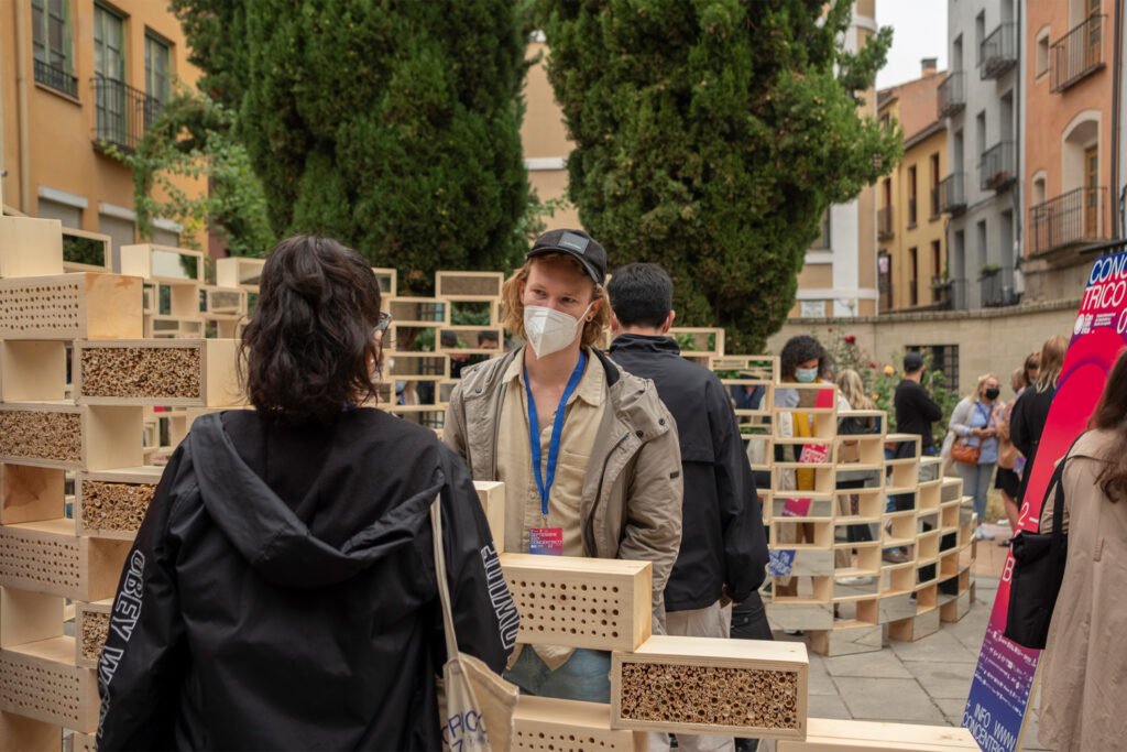 People are gathered around a installation made of wooden boxes. One side of the boxes is covered with a mirror. Small tiny holes have been made on the opposite side of the boxes. In the background two cypress trees and old beige plastered houses can be seen.